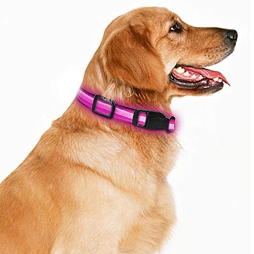 LED Dog Necklace Collar USB Rechargeable Loop Available in 4 Colors Pink Green Blue Black 3 Size For You to Choose Makes Your Dog Visible Safe & Seen (M, Pink)