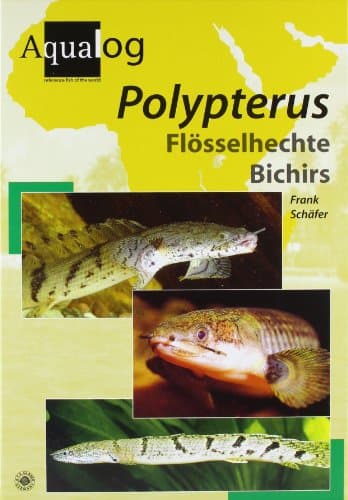 AQUALOG: Polypterus - Bichirs (English and German Edition)
