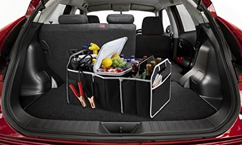 Monogram Inc Set of 2 Folding Trunk Organizer with Collapsible Cooler Compartment