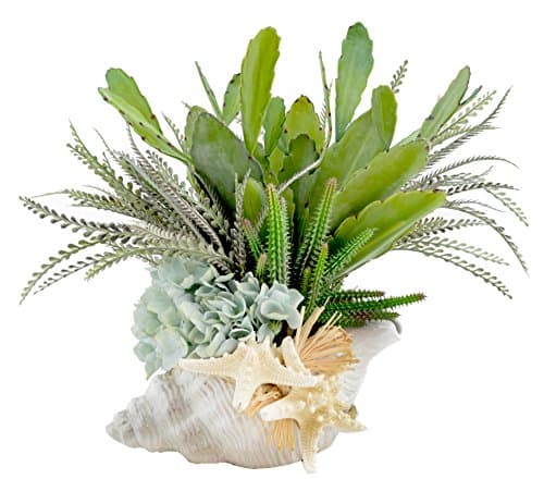 Creative Displays Cactus and Feathers in Sea Shell Vase