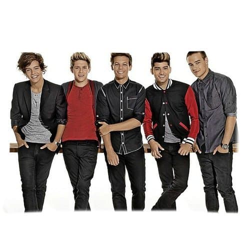 One Direction Pillowcase Covers Standard Size 20"x30" CC3198