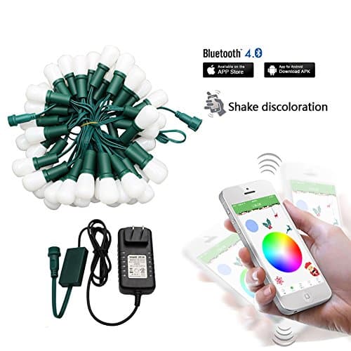 Dimmable Holiday Outdoor Led String Lights, G27 Sized Bulbs, Long Life Up To 50000Hours, Color Can Be Changed, UL CUL Listed Driver, Bluetooth Controller, Ideal For Tree, Garden, Lawn, Patio, Party
