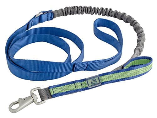 OllyDog MTN Spring Leash, 60", Ocean Kelp