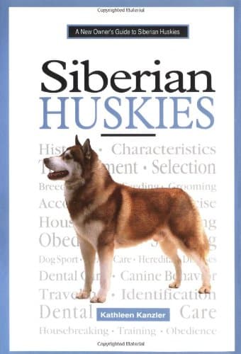 A New Owner's Guide to Siberian Huskies