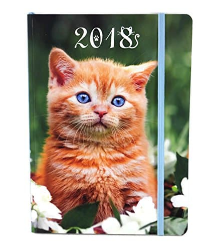 2018 Weekly By Day Planner Calendar Journal, 8.25 X 6 Inches, Laminated Cover (Kitten)