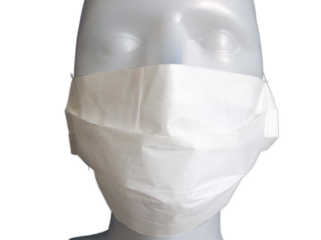 Face Mask Paper 2ply Ear Loop - Pack of 100