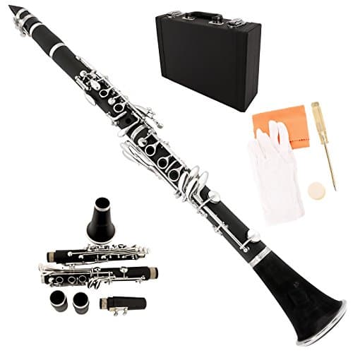 Black Professional School Band Bb Clarinet with Case + Care Kit for New Learner