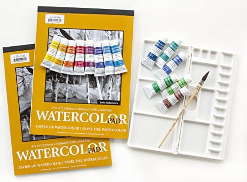Susan Giannantonio Professional Water Sketching Paint Kit