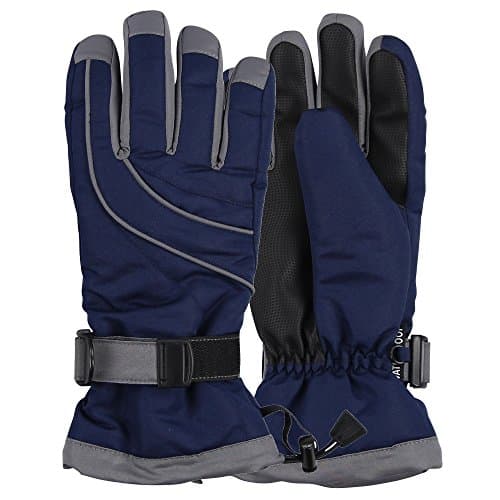 Women's Thinsulate Lined Waterproof Ski Glove (Navy/Grey, Medium/Large)