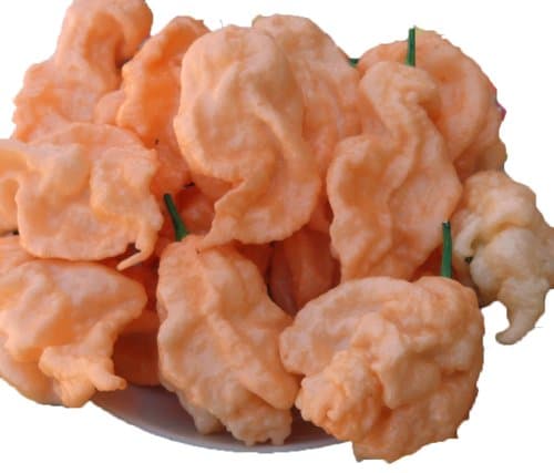 Jay's Peach Ghost Scorpion Pepper Seeds 15 Seed Pack by OrganicSeedSupply