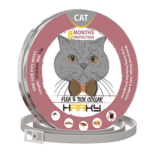 GORAUL Flea and Tick Collar for Cats - 8 Months Protection - Hypoallergenic, Adjustable & Waterproof Cat Collar - Flea Treatment Tick Prevention with Natural Essential Oil
