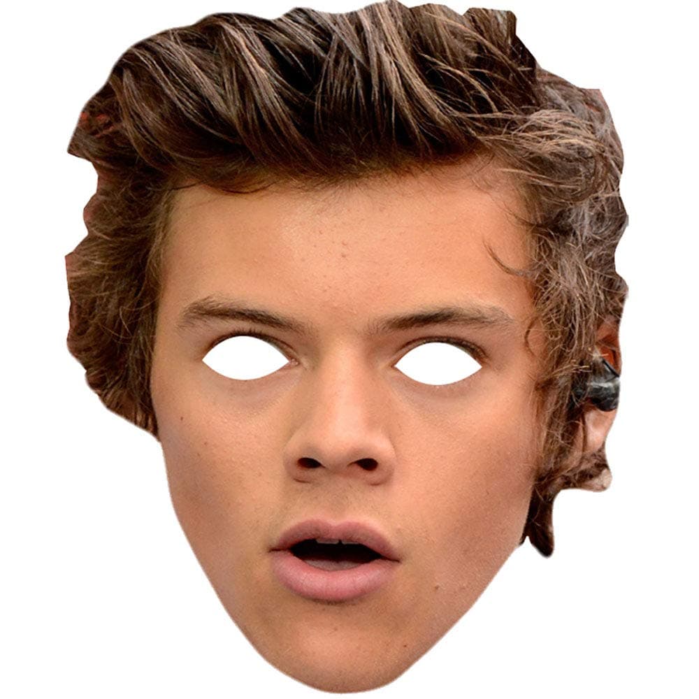 Lord Fox Harry Styles One Direction Celebrity Face Mask Fancy Dress Party 5 Face Masks On A Stick Ready to Wear