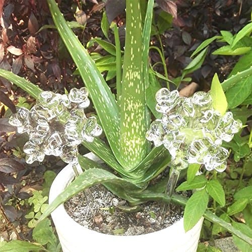 Gugou 2PCS Self Watering Globes Aqua Bulbs Hand-blown Mini Glass Automatic Plant Waterer snowflake Decorative Design