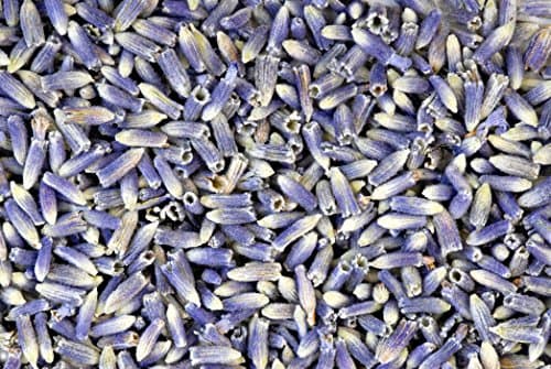 Dried Lavender Flower Buds - 1 Pound
