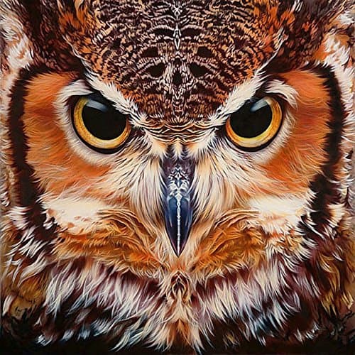 5D Diamond Painting Full Drill – Great Horned Owl (Fun Unique Art Décor Makes A Perfect Birthday Party Gift)(Beautiful Artwork Tapestry Decoration for Home Or School) Premium Canvas Poste