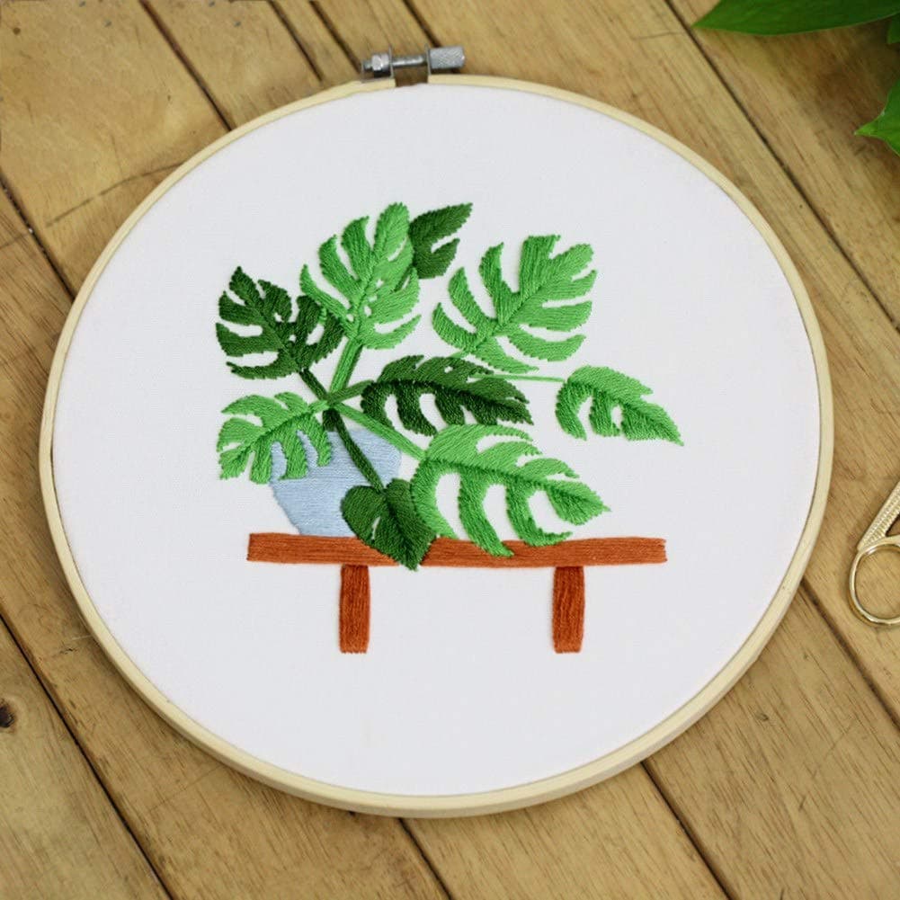 fancyqube Embroidery starter kit with patterns and instructions, cross stitch kit(Monstera 1)
