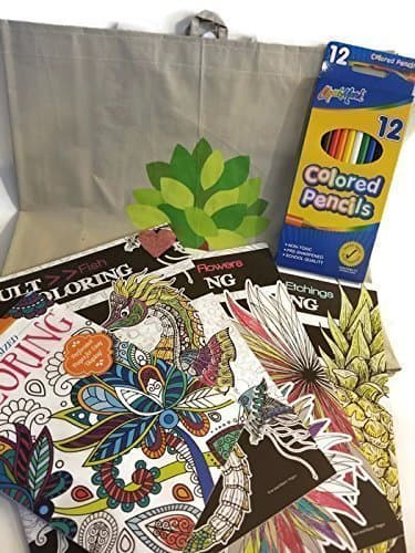 A great Relaxing gift w/Easy Summer Fun Arts & Crafts exercise w/Adults Coloring books set w/pencils n Travel reusable tote bag