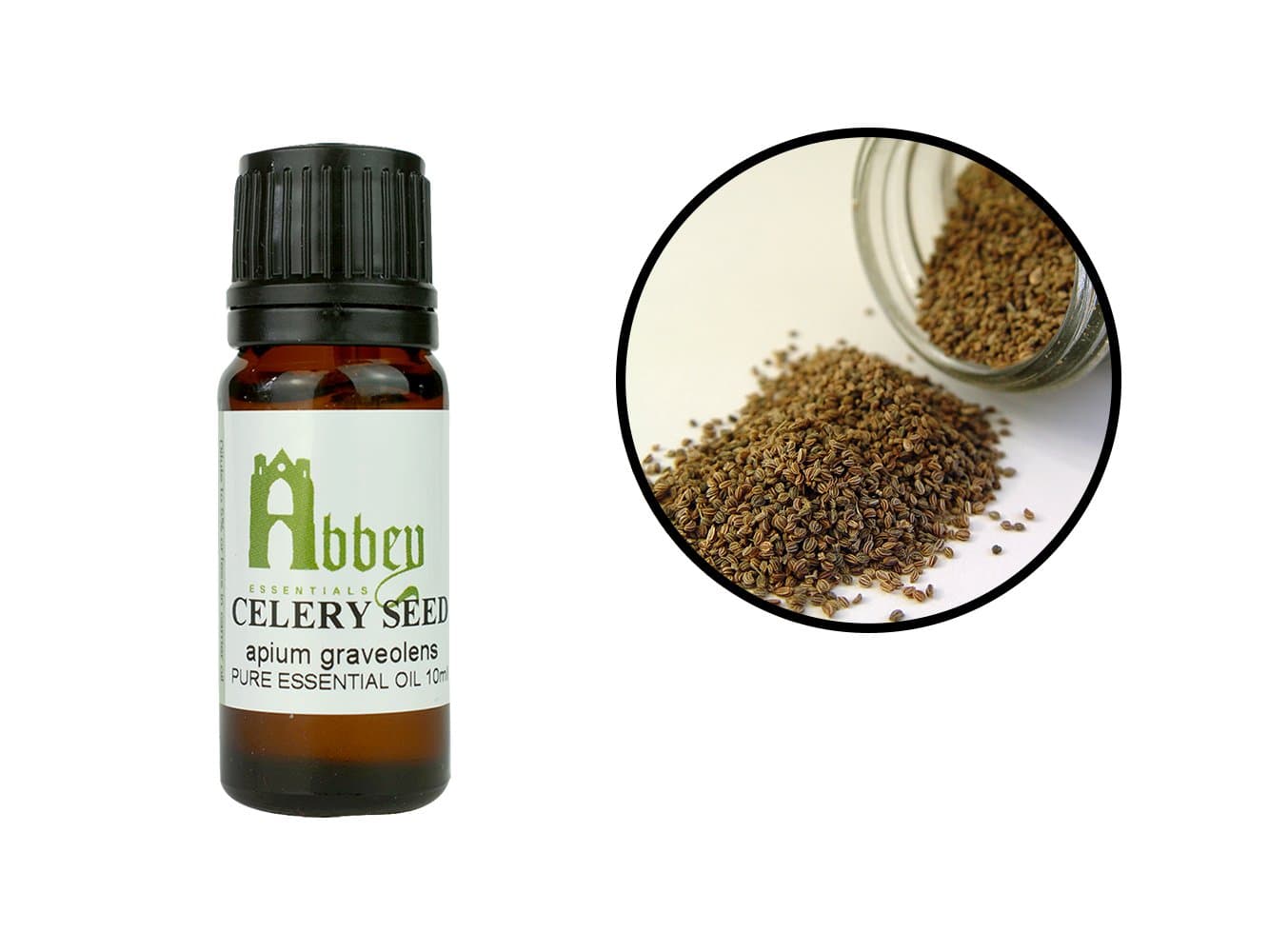 Celery Seed Essential Oil Non-Toxic Non-Irritant Possible Sensitization Anti-Oxidant Detoxifying Increases Milk Flow While Breastfeeding 10 ml