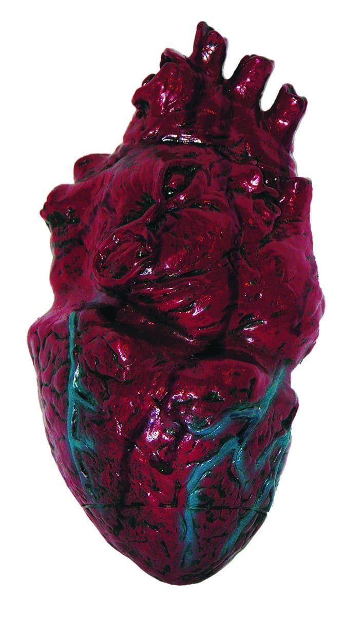 Simulated Body Parts Heart (1/Pkg) Pkg/12