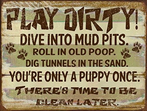Funny Dog Signs ~ Play Dirty! Dive Into Mud Pits. Roll in Old Poop… ~ Metal 9 x 12 inches ~ USA Made ~ Dog Lover, Walker, Sitter, Veterinarian, Groomer, House, Doggie Daycare, Décor & Gifts