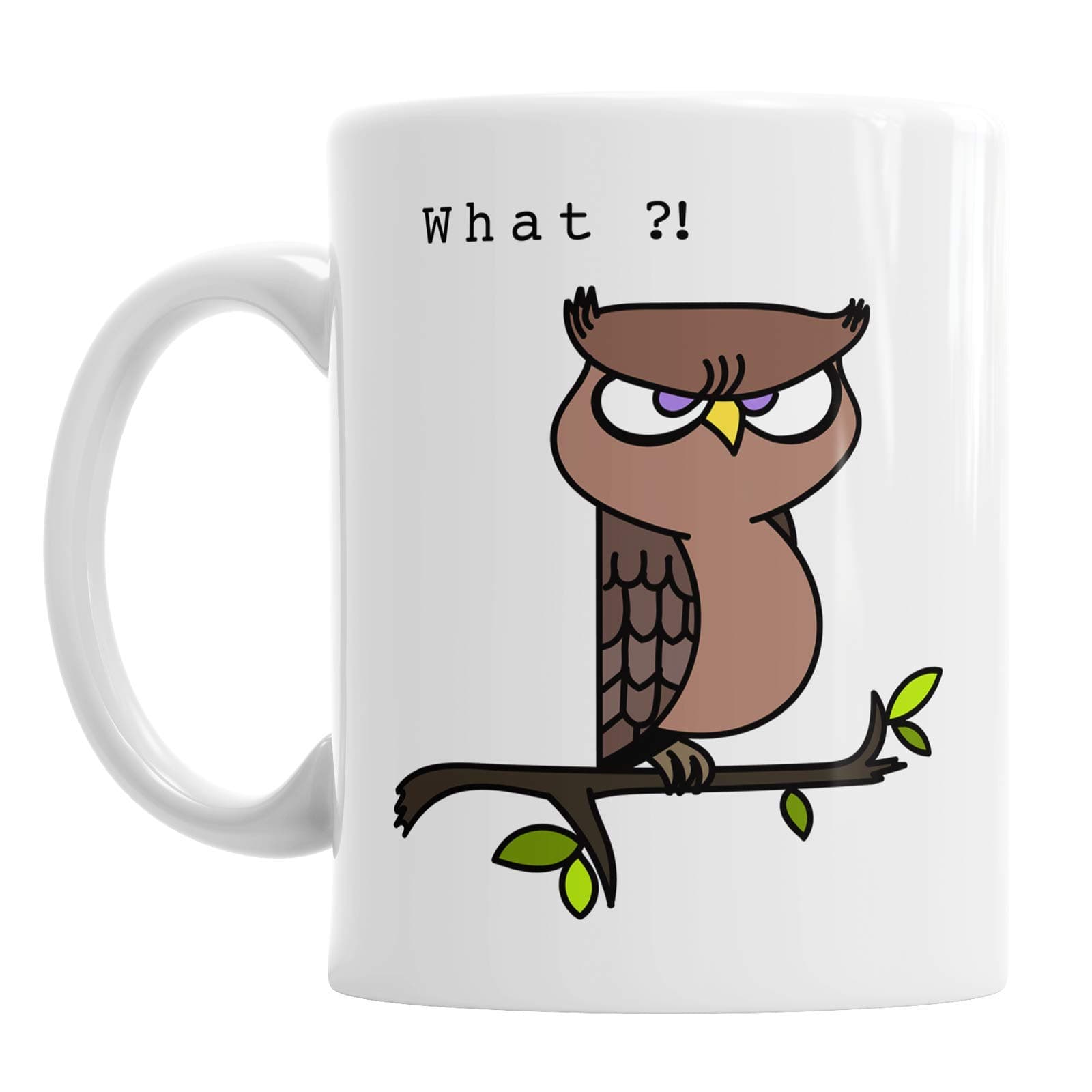 What Displeased Owl 11oz Ceramic Coffee Mug