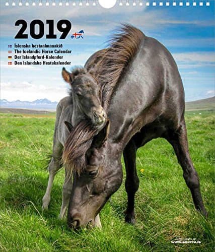 The Icelandic Horse Calendar 2019