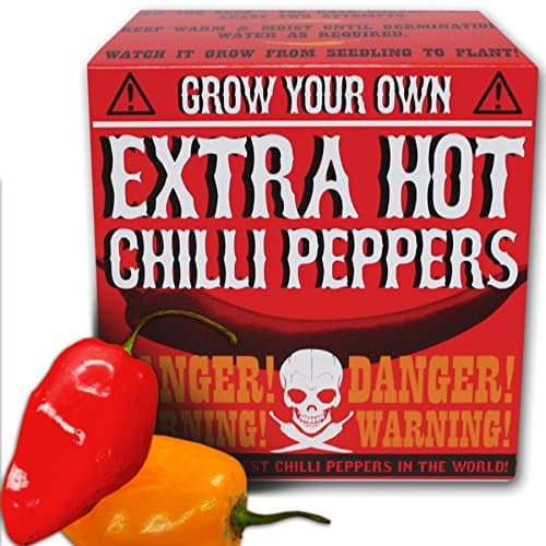 Grow Your Own Extra Hot Chilli Peppers by GIR