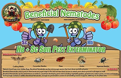 Bug Sales 50 Million Live Beneficial Nematodes Blend- Hb & Sc - Kills Over 200 Different Species of Soil Dwelling and Wood Boring Insects.