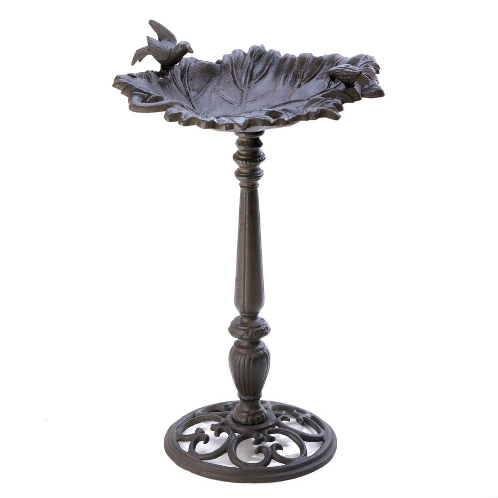 Bath Bird, Rustic Parakeet Bird Bath Antique Modern Cast Iron Garden Bird Baths