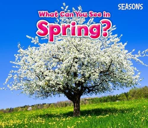What Can You See In Spring? (Seasons)