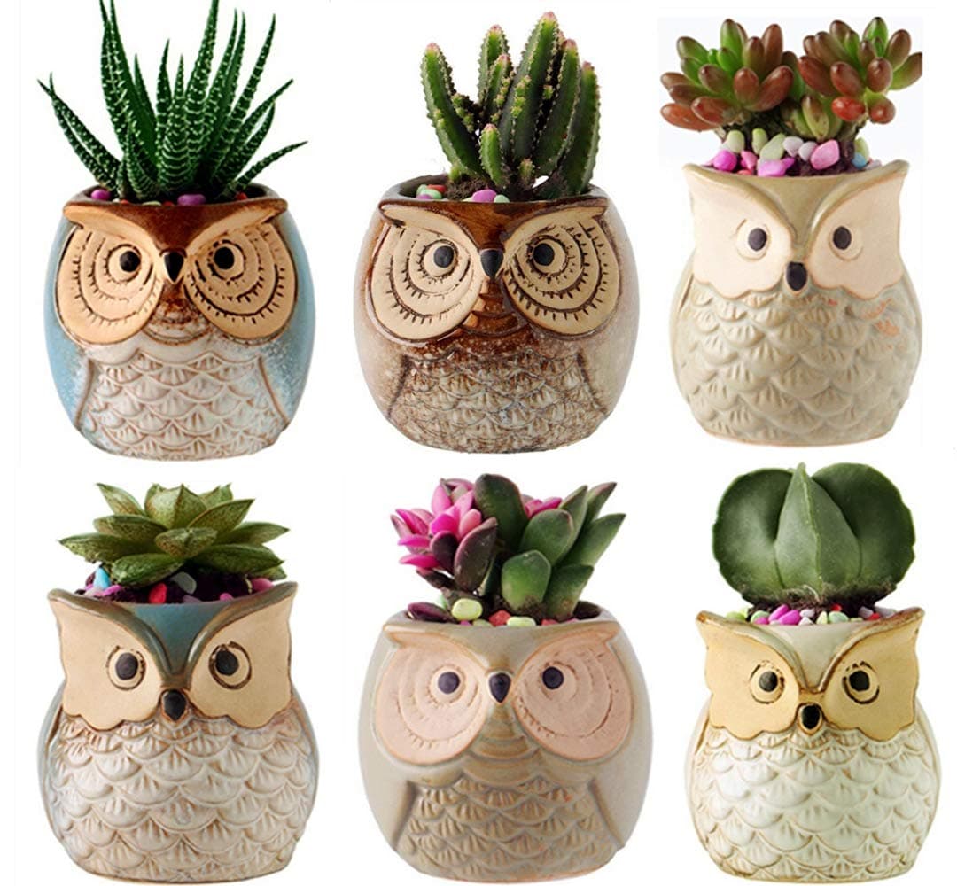 YLINGSU 2.5 Inch Owl Succulent Plants Pots Ceramic Set, Cactus Plant Pot,Mini Flower Pot, with A Hole Perfect owl Gifts (6 Pack)