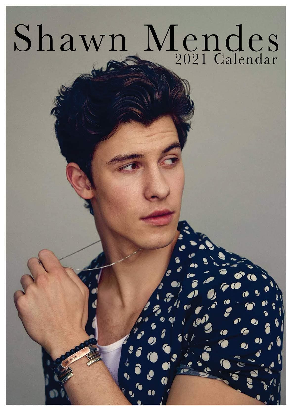 Shawn Mendes 1 2021 Calendar A3