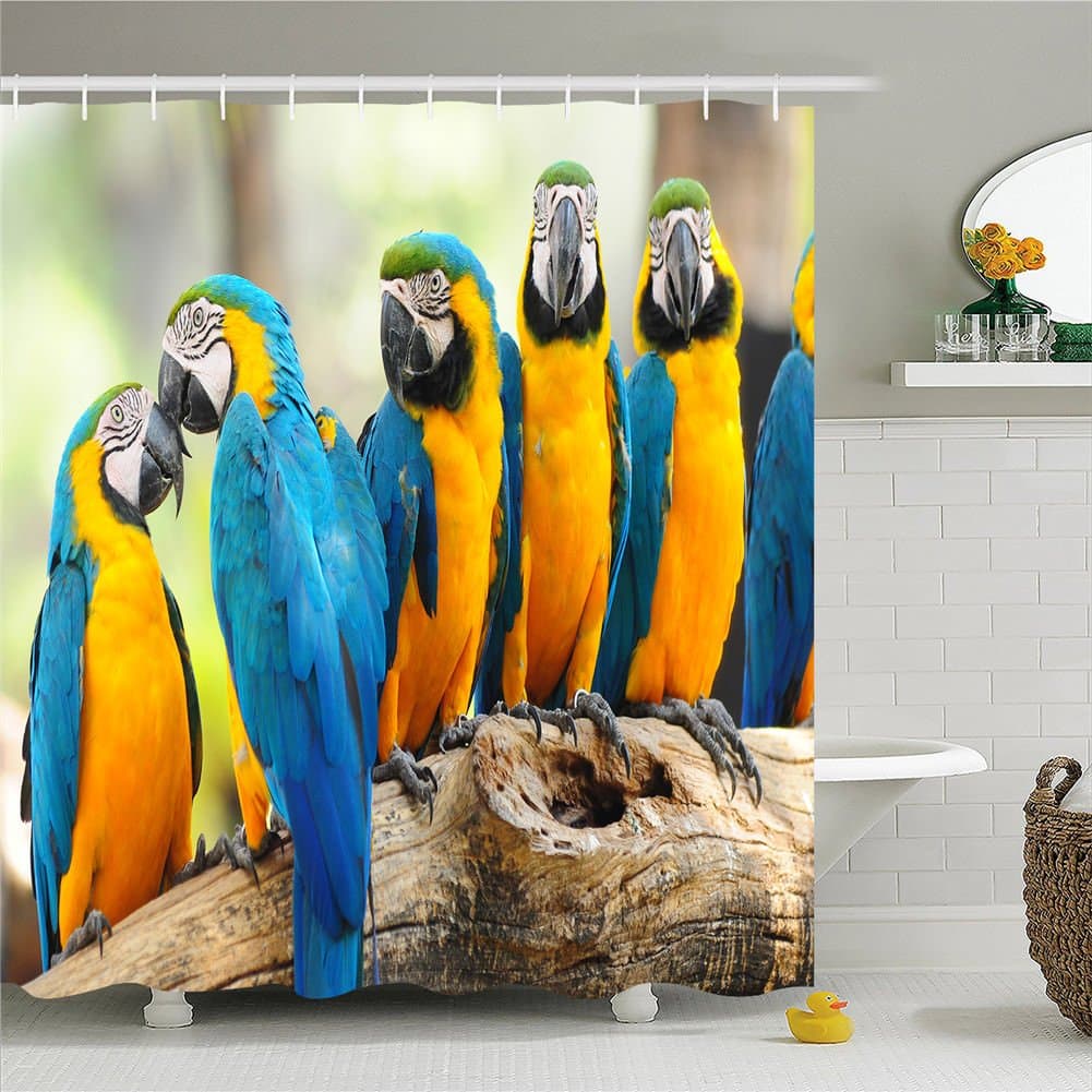 Where To Buy Unique Cute Parrot Birds and Zebra Polyester Waterproof Shower Curtain-Bathroom Accessoriess 72x72
