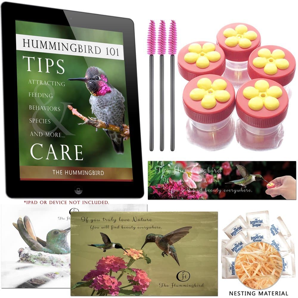 AROMA TREES 5 Mini Hand Held Hummingbird Feeders with Instructions and Natural Nesting Material
