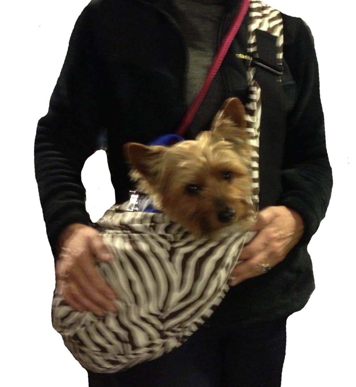 Cross Body Pet Carrier