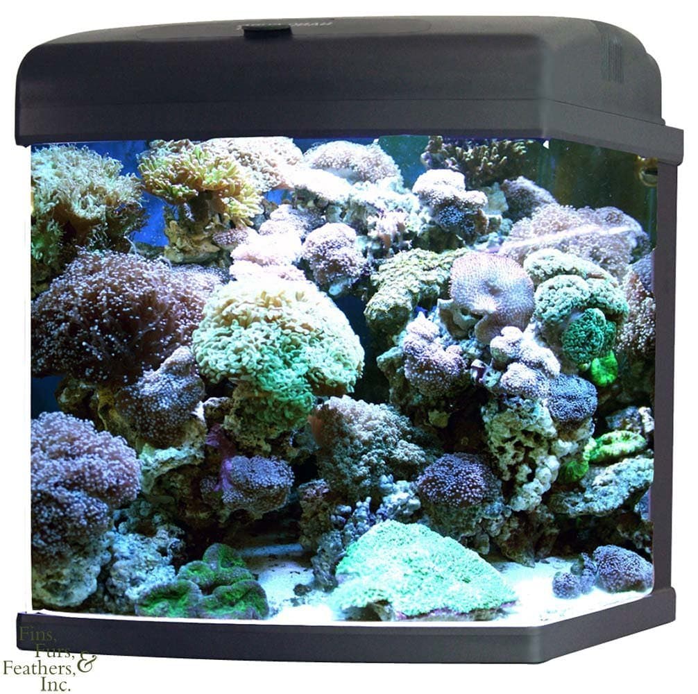 JBJ MT-602-LED Nano Cube CF Quad Lighting, 28-Gallon