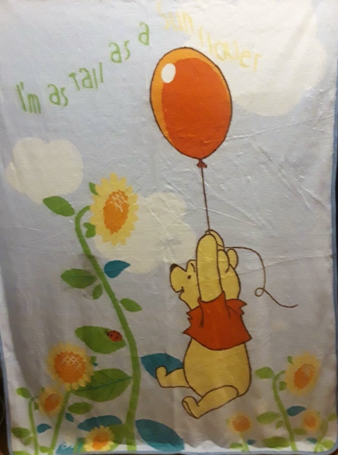 Winnie the Pooh Disney Printed Soft Silk Touch Throw Blanket, Blue, 50X70