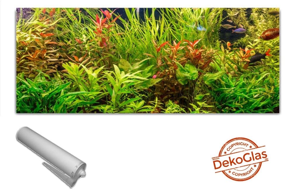 Kitchen back wall by DekoGlas 125x50cm splash guard plant leafs