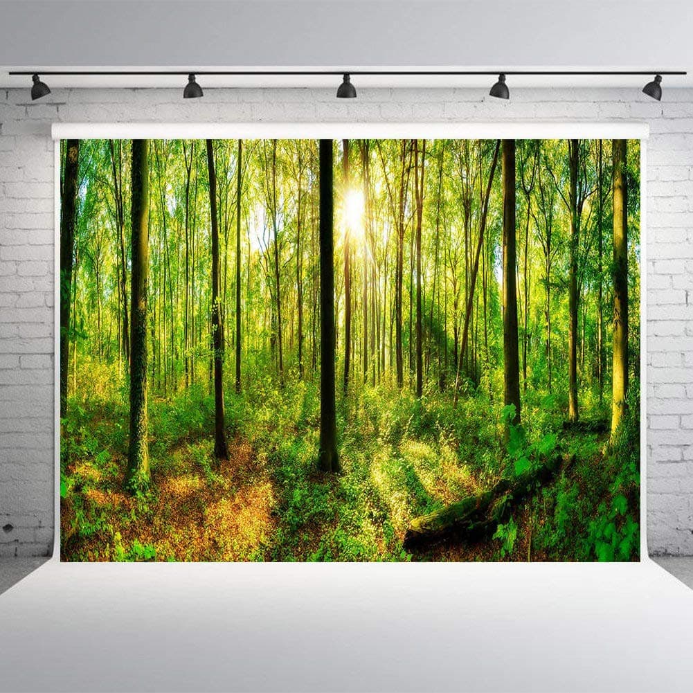 DANIU 7x5ft Forest Photography Backdrop Green Spring Forest Sunlight Sunrise Foggy Forest Photo Studio Background
