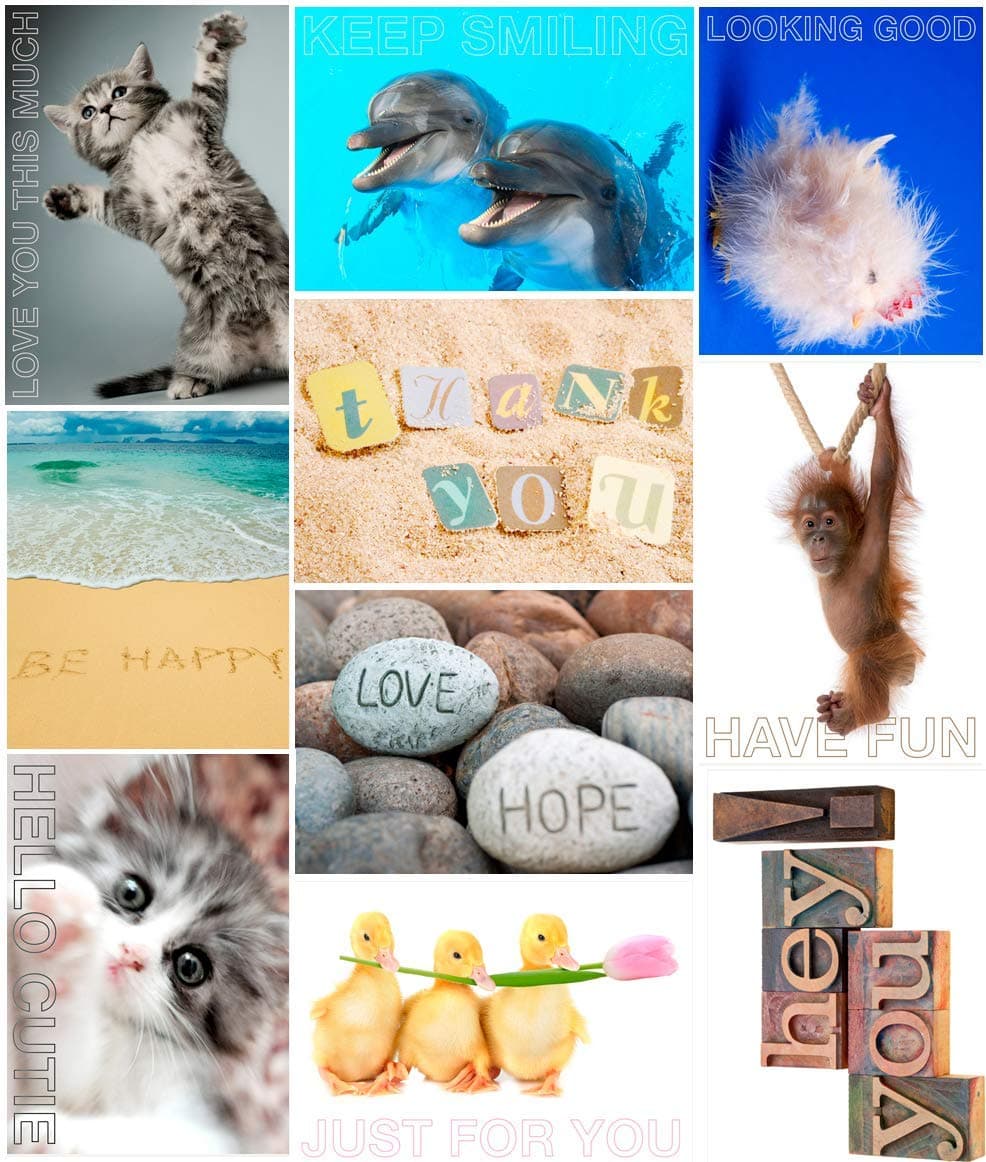 50 Chin Up Postcards - 10 Different and Unique Designs (Without Envelope)