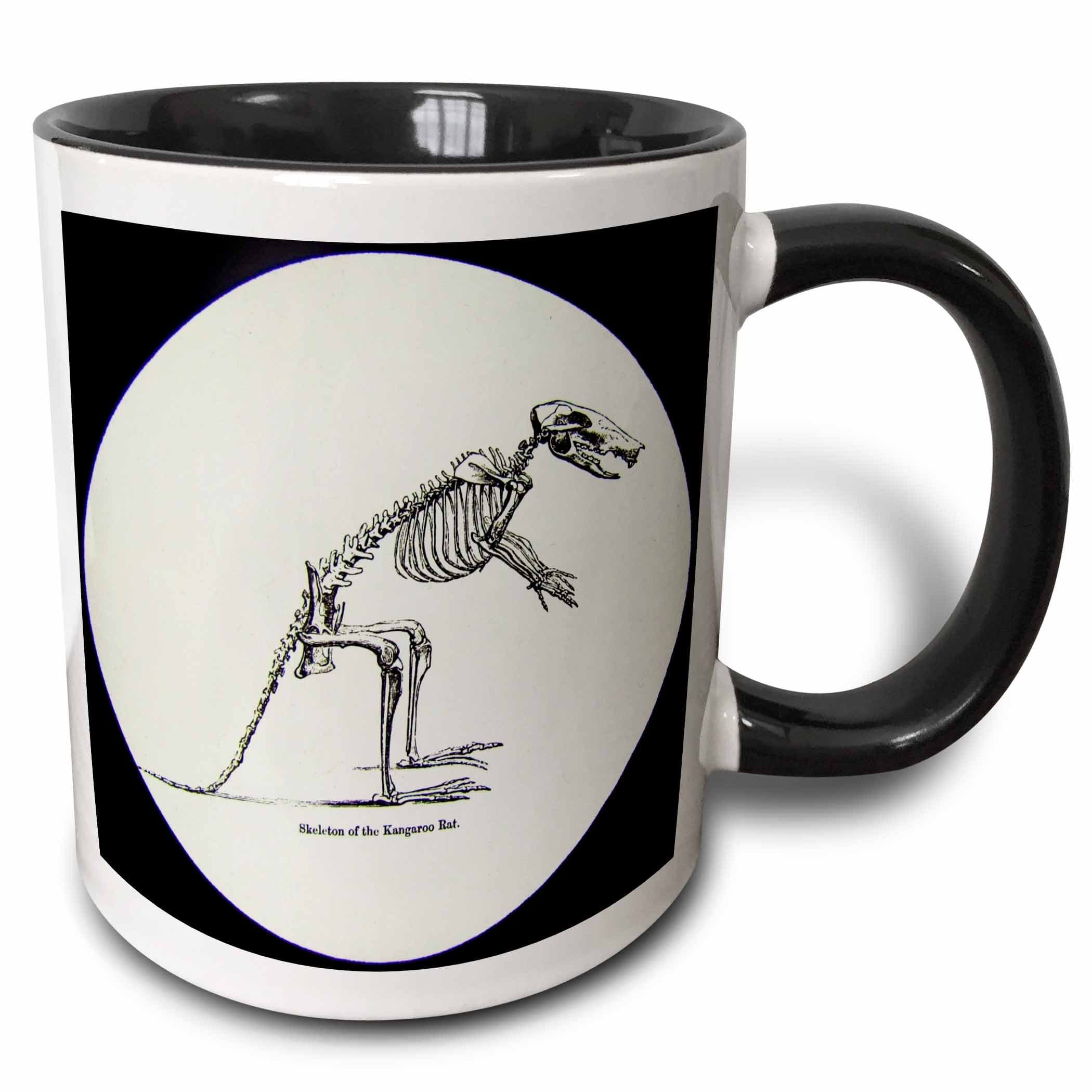 3D Rose 246376_4 Vintage Scientific Study Magic Lantern Slide Skeleton of Kangaroo Rat Two Tone Ceramic Mug Black