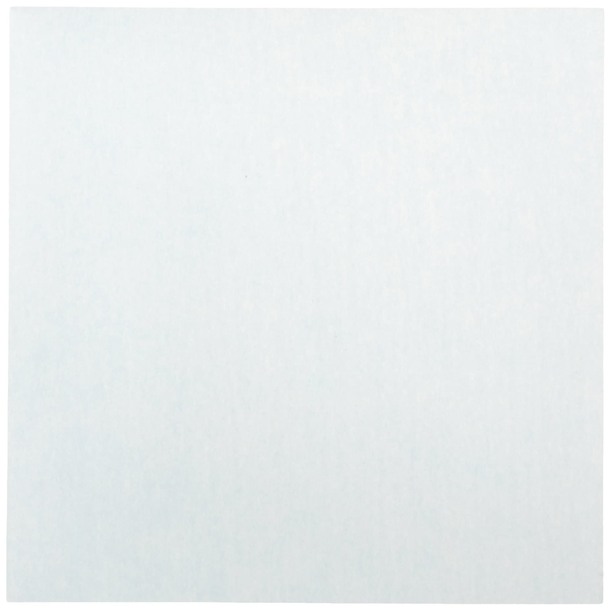 GVS Life Sciences 1212644 Polyvinylidene Fluoride Plus Transfer Membrane Sheet, 0.45 micron Pore Size, 100mm Width, 100mm Length (Pack of 10)