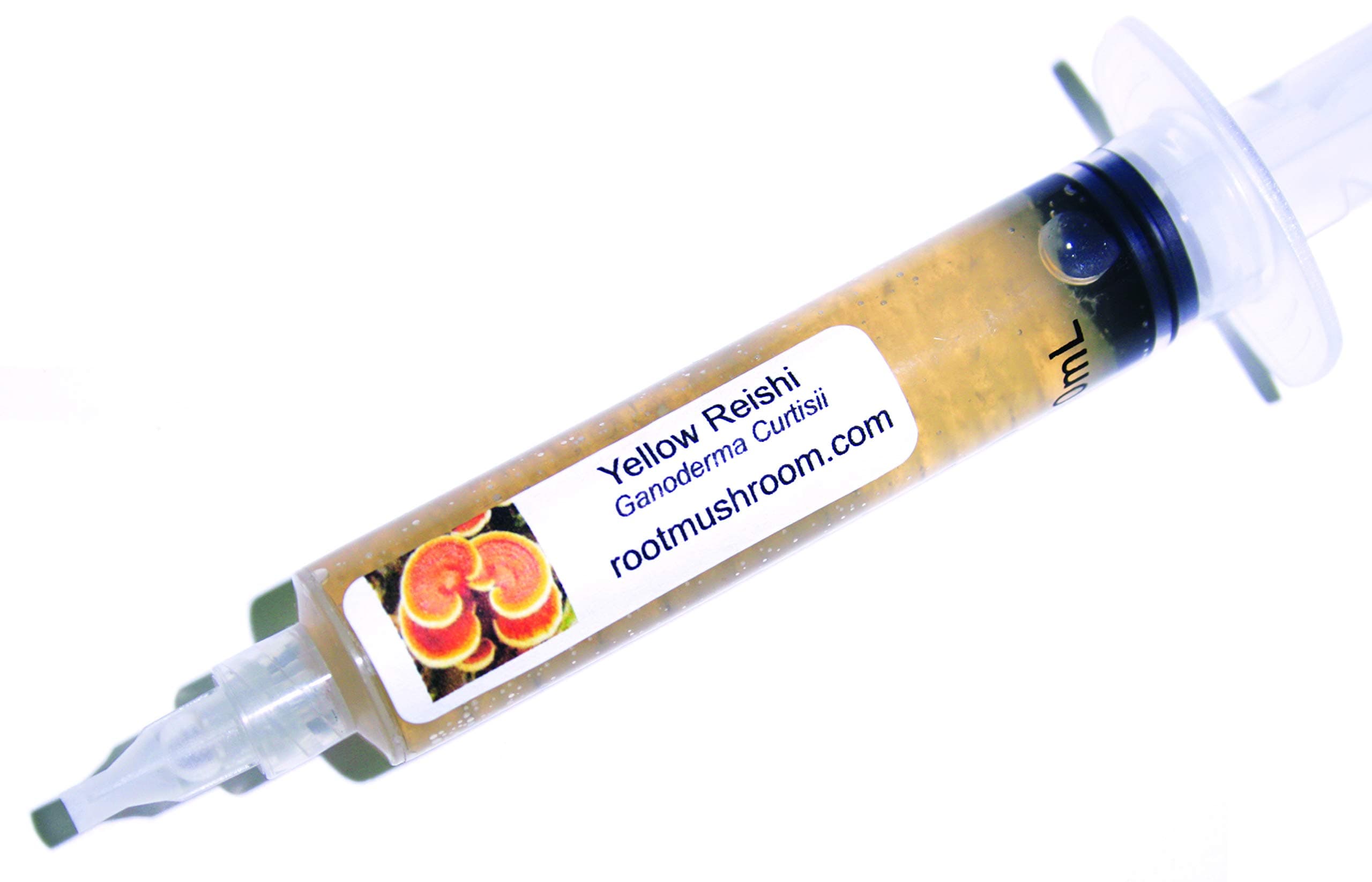 Root Mushroom Farm- 30 Mushroom Liquid Cultures /Yellow Reishi (Ganoderma Curtisii)