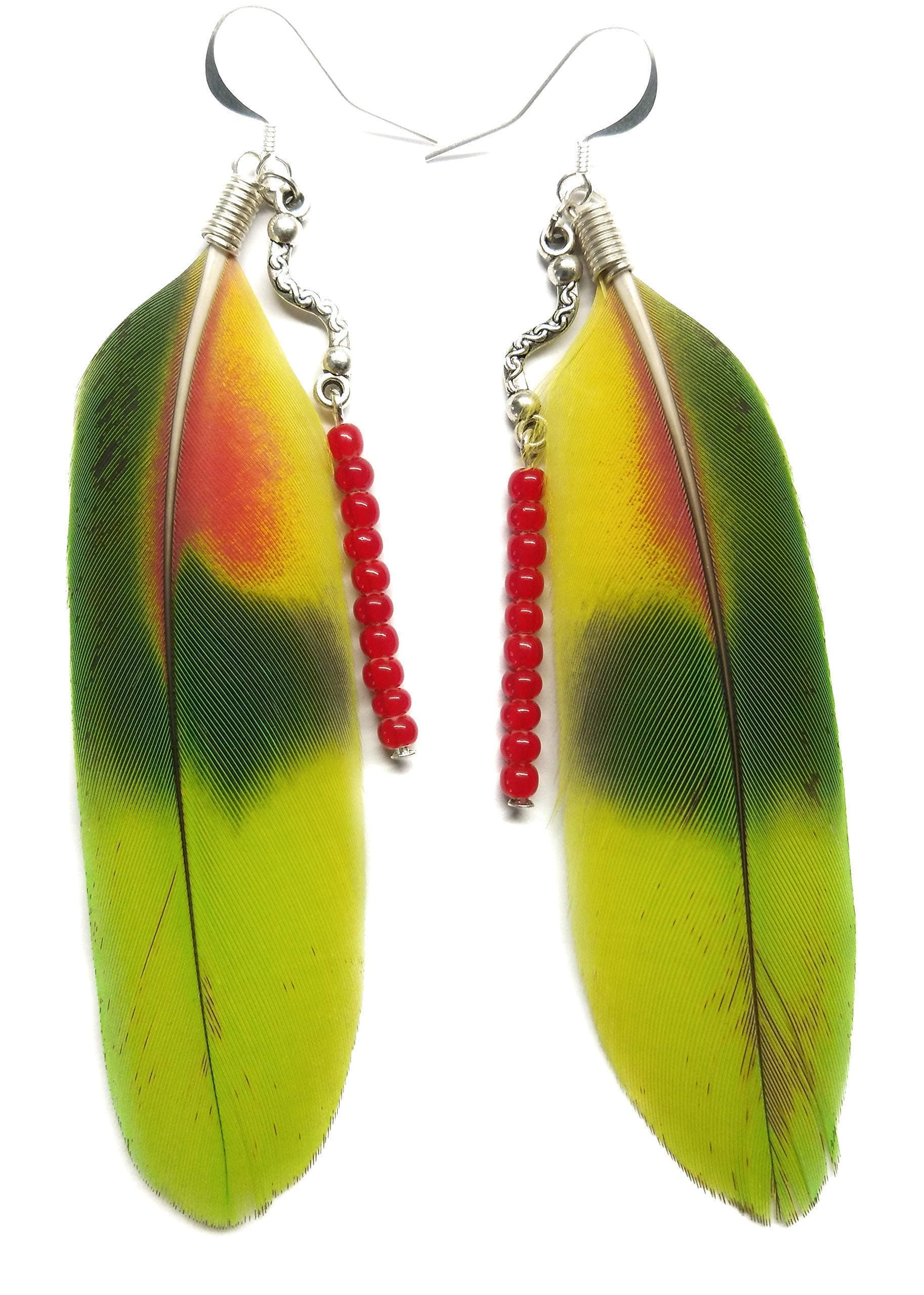 Earrings made from Natural Panama Amazon Parrot Tail Feathers with Red Bead Drop