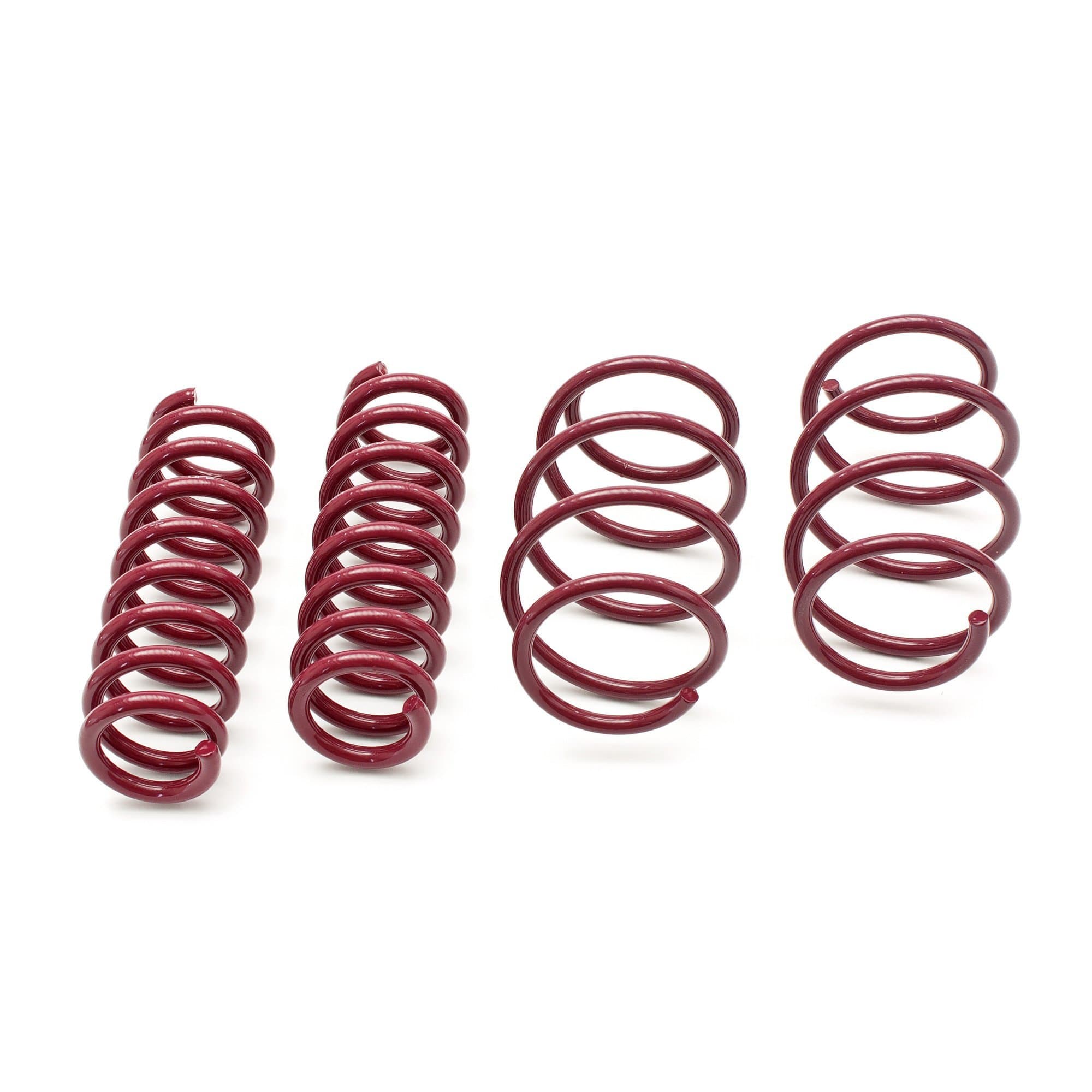 Vogtland954009 Lowering Springs