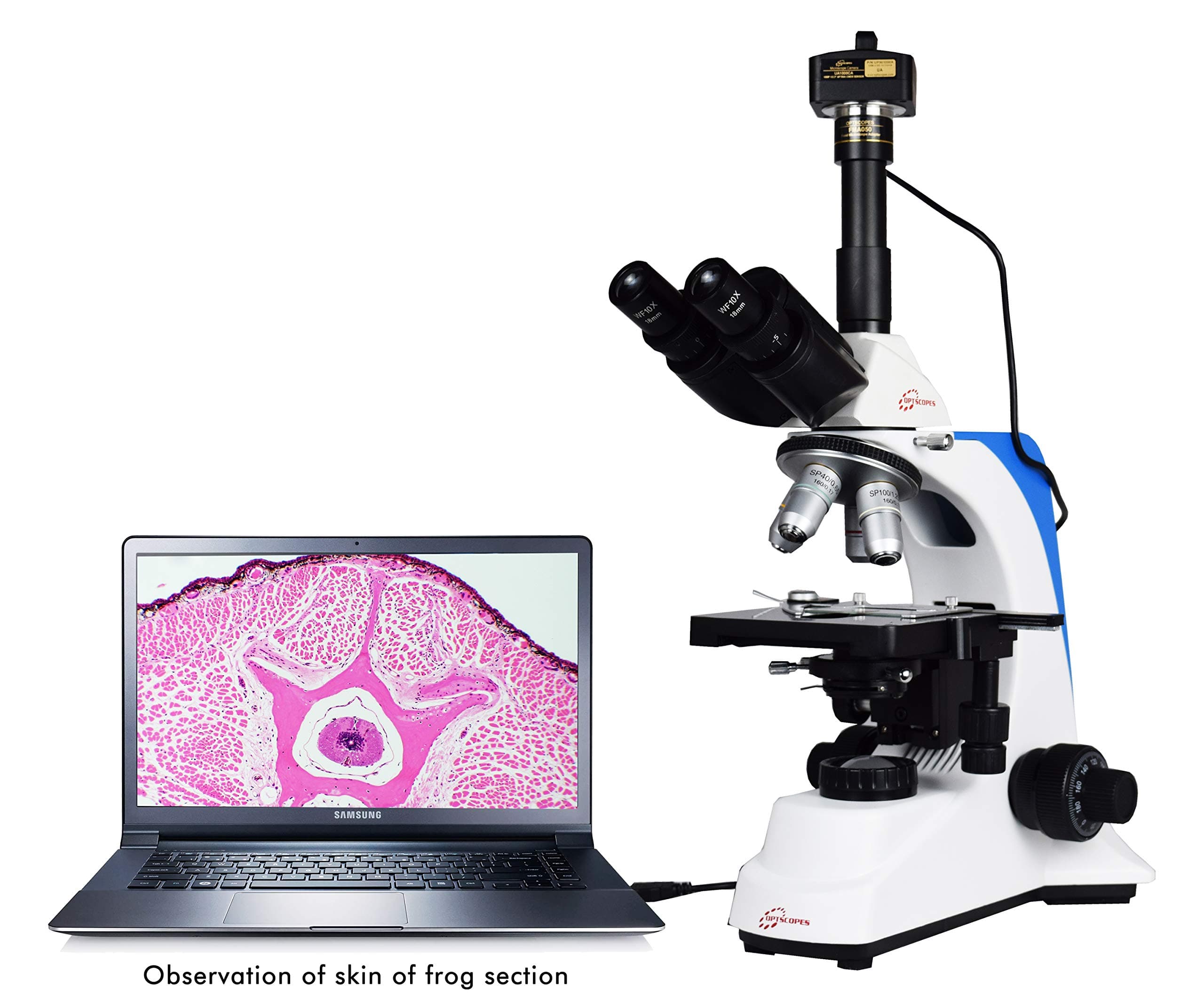 Optscopes Advance 40x-2000x Digital Microscope with 3.1MP IS-300 CMOS Microscope Camera (for Education, Pathology, Research and Teaching)
