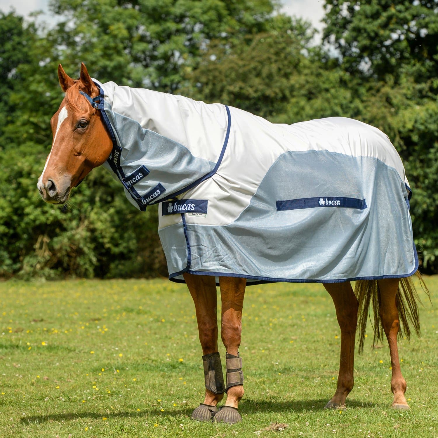 Bucas Buzz-Off Rain Full Neck Fly Rug 6-6" Silver-Blue/Navy