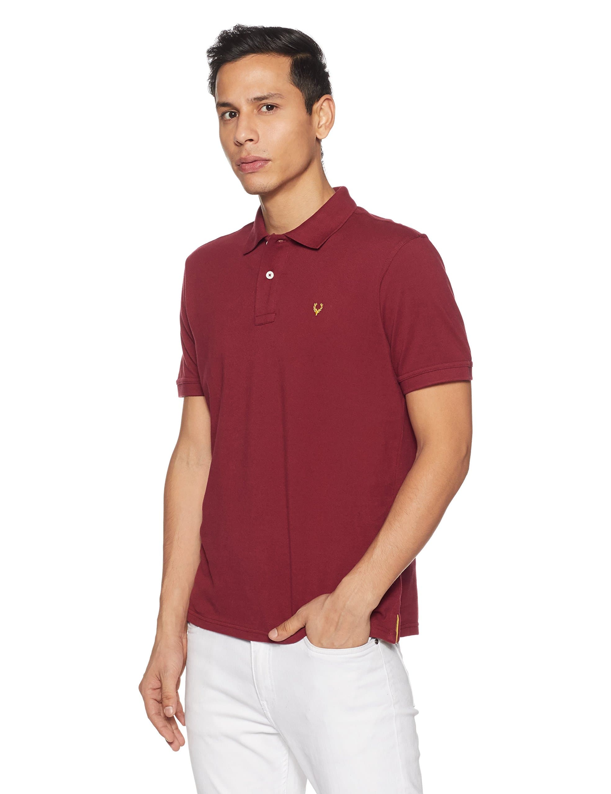 Allen Solly Men's Polo