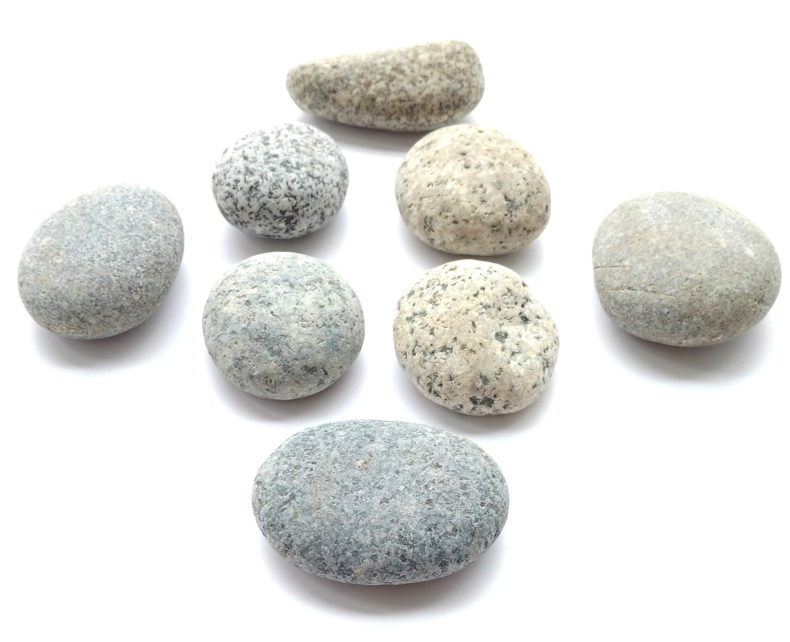 Capcouriers Aquarium Rocks - Terrarium Kit Rocks