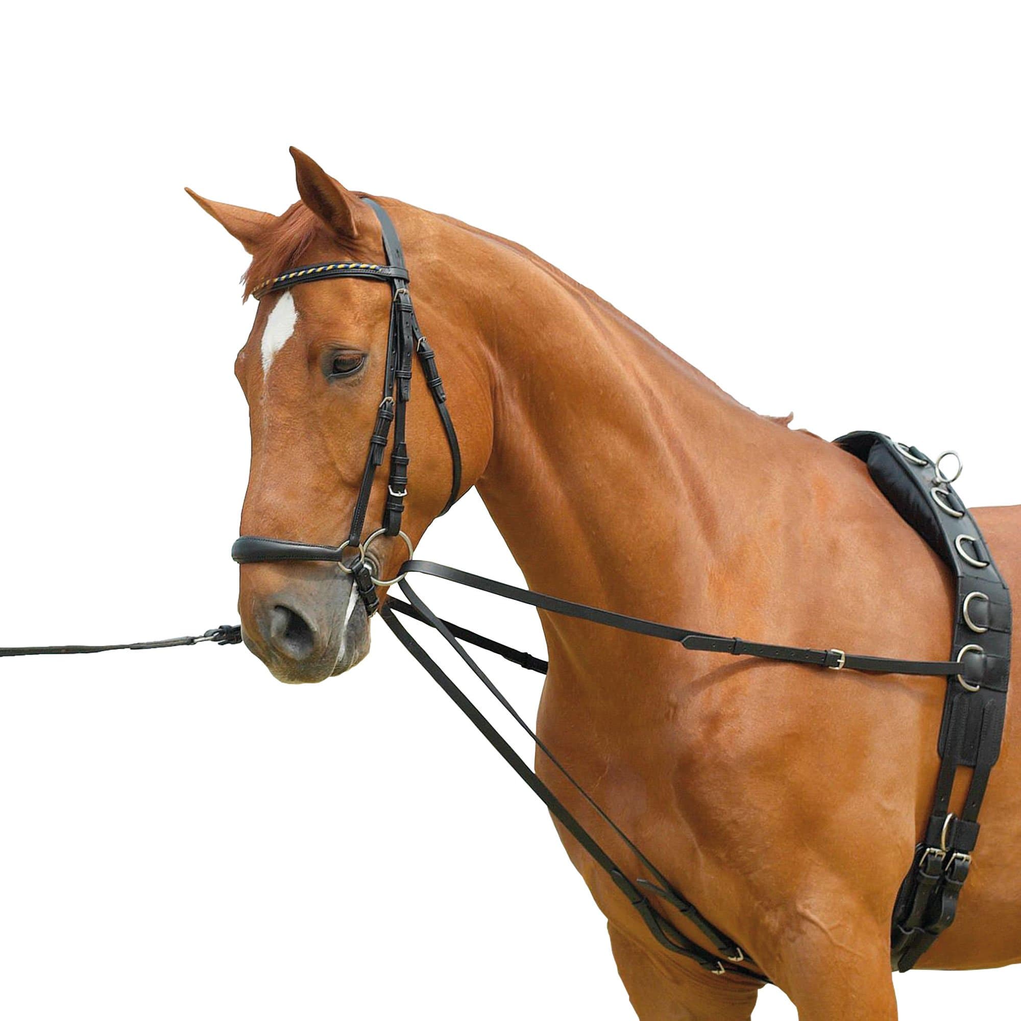 CBL Lunging Draw reins - Lauffer reins